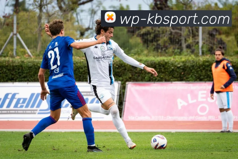 KB体育官网平台生态图